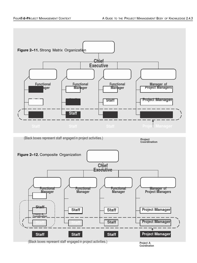 Project Management Leadership & Communication | PDF | Art