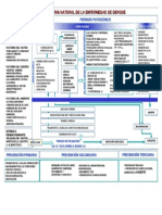 Historia Natural Del Dengue