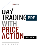 Day Indicator Manual.pdf