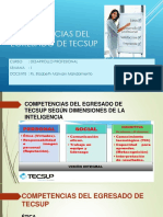 Conceptos Competencias Del Egresado