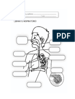 Partes de La Computadora