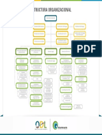 Estructura Organizacional Odl