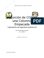 284356169-Absorcion-de-CO2-en-Una-Columna-Empacada.pdf