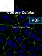 cultura de células