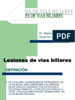 Lesion de Vias Biliares