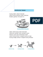 KLS2 - Ip2