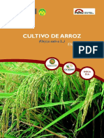 arroz_en_barrizal.pdf