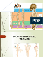 Columna Vertebral