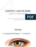 Chapter 7: Light at Work: Lesson 7.1: The Human Eye