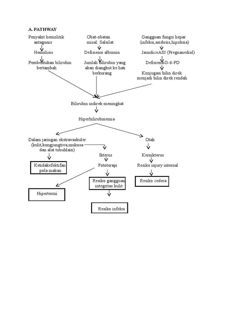 Pathway Hiperbilirubinemia Neonatus | PDF