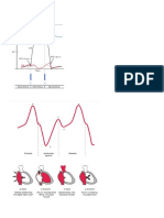 Jugular Venous Pulsation