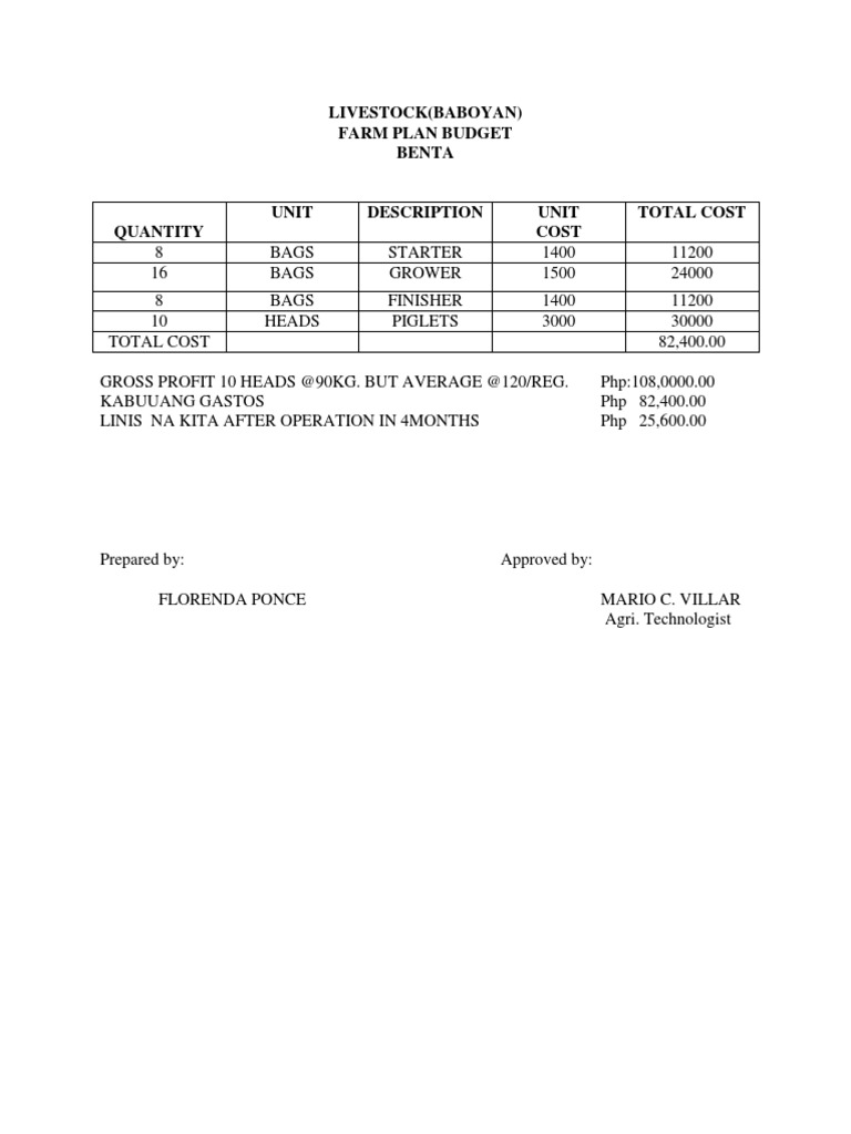Piggery Farm Budget Plan Overview | PDF