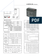 6 DZM 20 PDF