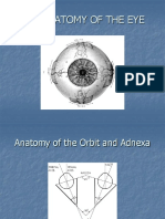 1 Anatomy of the Eye and Orbit