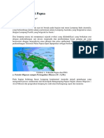 Tektonik Papua 2