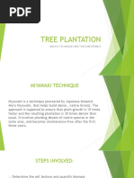 Tree Plantation Project | PDF