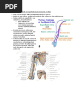 Anatomy and Contents of the Snuffbox | PDF