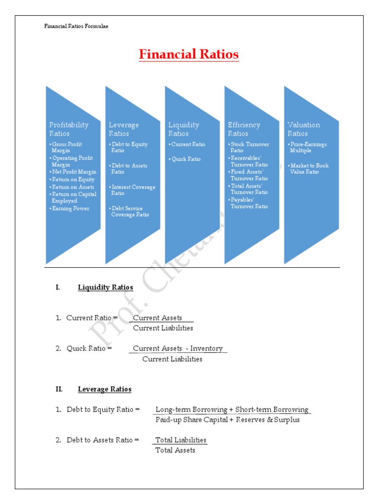 Essential Financial Ratios Explained | PDF | Revenue | Debt