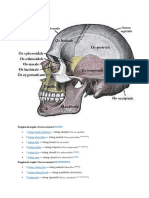 Cranium: Tengkorak Kepala (Neurocranium)