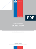 GUIA CLINICA_EPILEPSIA ADULTOS_web.pdf