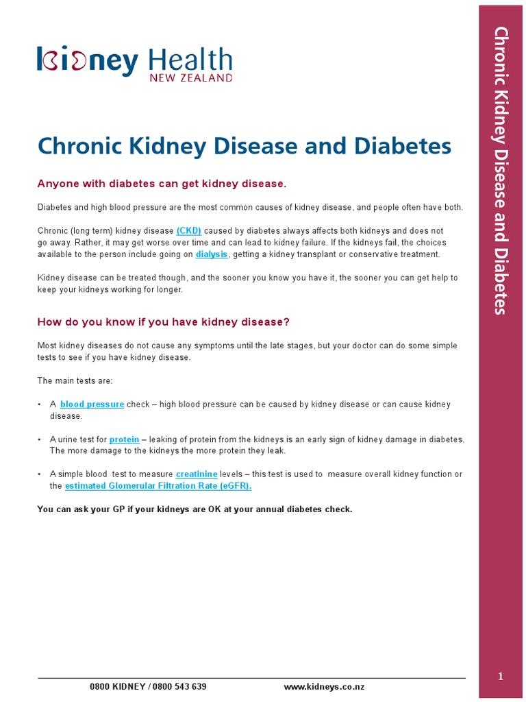 CKD and Diabetes | PDF | Chronic Kidney Disease | Renal Function