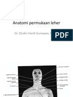 Anatomi Permukaan Leher: Dr. Dindin Hardi Gunawan, SPKFR