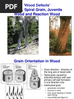 Timber Conversion Methods Explained | PDF | Wood | Lumber