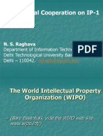 International Cooperation On IP-1: N. S. Raghava