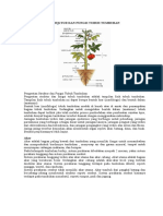 Struktur dan Fungsi Tumbuhan
