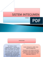 Sistem Integumen PPT by Elisa
