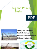 Pruning and Training Trees for Productivity and Management