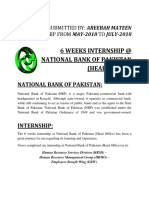 Nbp-6 Weeks Internship Report-Areebah Mateen
