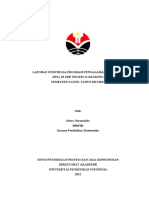 Laporan Individual Program Pengalaman La PDF