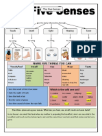 The Five Senses Worksheet 1