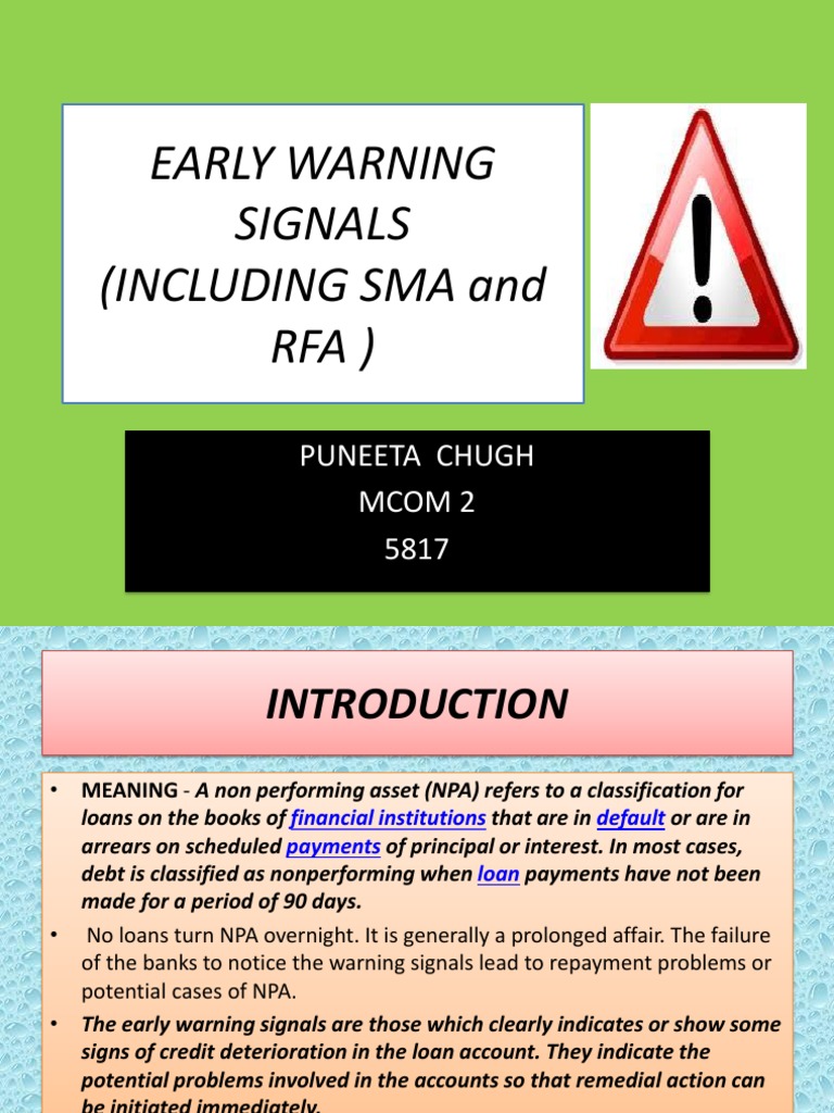 Early Warning Signals of Loan Frauds A Comprehensive Framework for