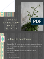 12 Relacion Plantas