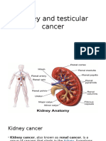 Kidney and Testicular Cancer