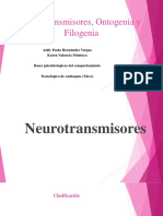 Neurotransmisores, Ontogenia y Filogenia