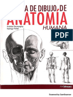 school of anatomy_20170427092413.pdf