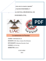 Topografia Parcelacion