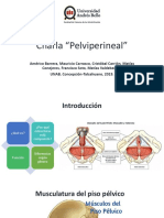 Anatomía Piso Pélvico