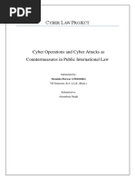 Cyber Law Project