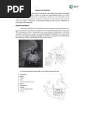 Apostila de Ortodontia (Resumos)