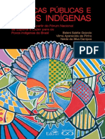 Politicas Publicas e Povos Indigenas - E-Book