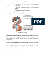 Circulação Portal Hepática