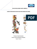 instrumentosmusicalesdechile-150802140821-lva1-app6891.pdf