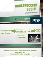 Construccion Social Emergente