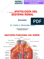 Fisiopatología Renal
