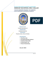 Informe Final