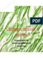 Tema 9 Biologia Celular de Cianobacterias Heterocistos PDF